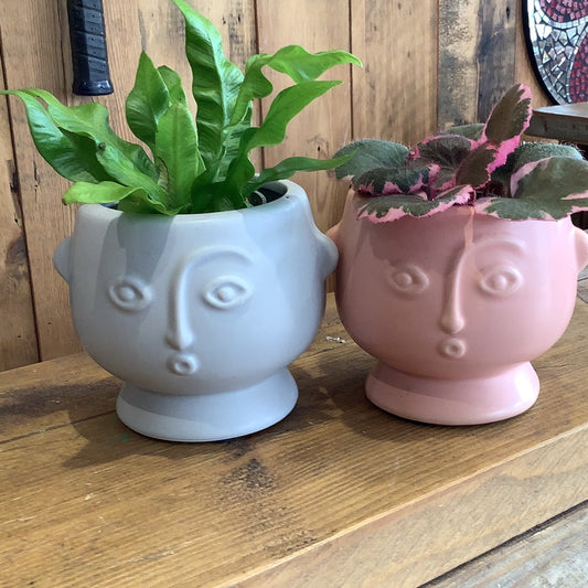 Sass and Belle Small Face Planter