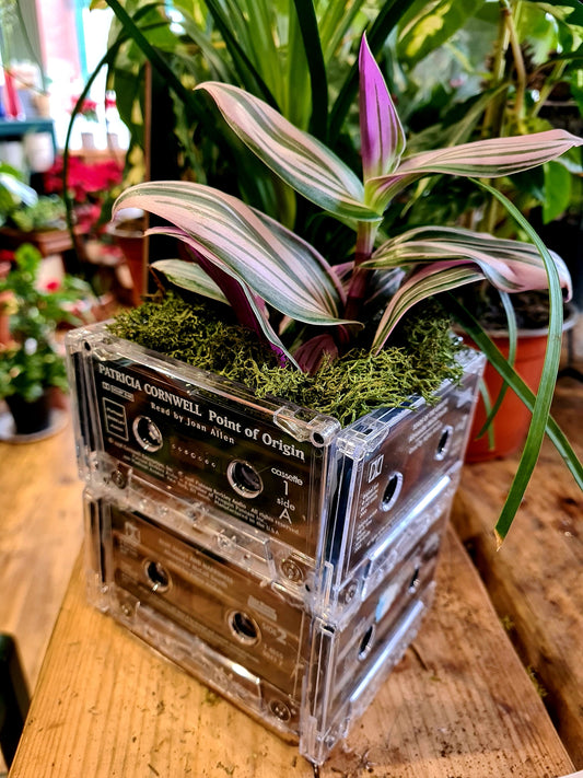 Cassette Planter with Nanouk