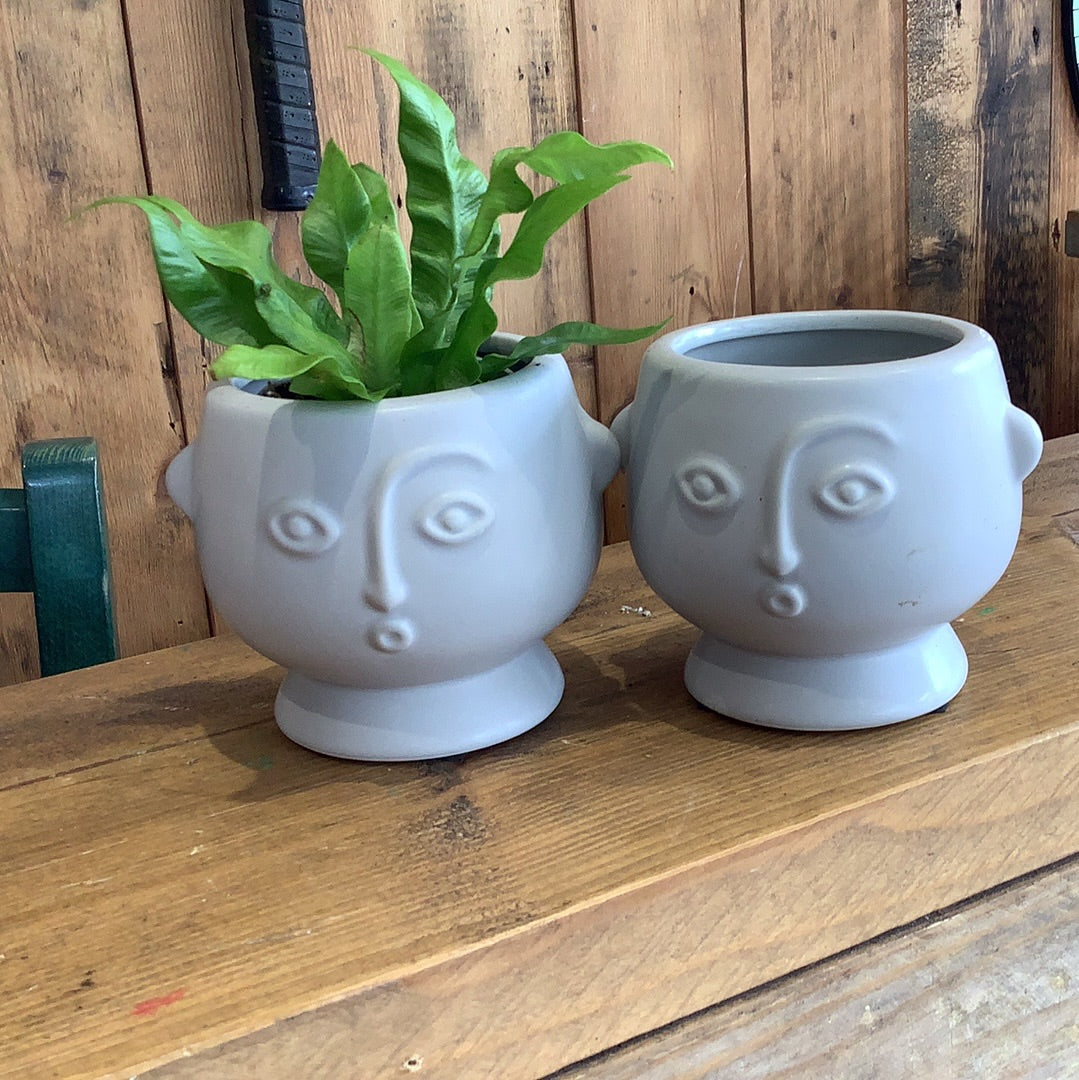 Sass and Belle Small Face Planter