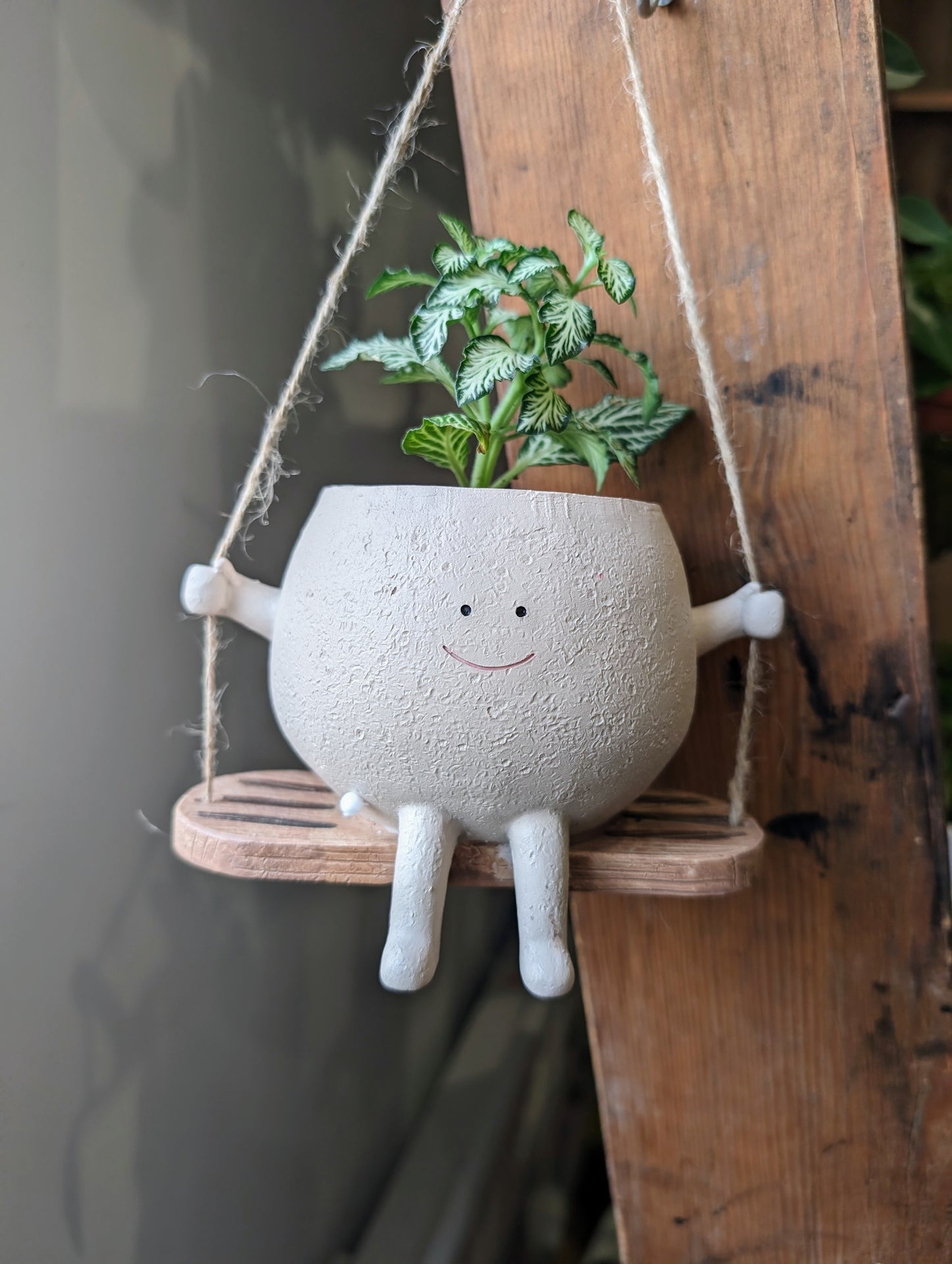 Swinging Face Pot